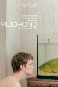 Линь (2019)
